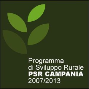 PSR_Campania_2007_2013