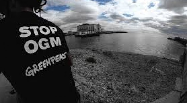 Per i singoli Paesi europei più facile dire no agli Ogm Per i singoli Paesi europei più facile dire no agli Ogm