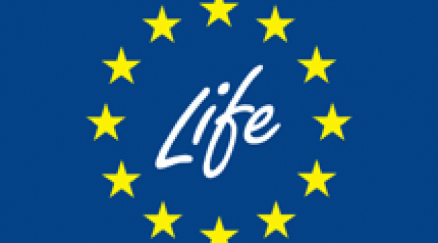 Programma per l’ambiente e l’azione per il clima (LIFE 2014-2020) – Call 2015 Programma per l’ambiente e l’azione per il clima (LIFE 2014-2020) – Call 2015