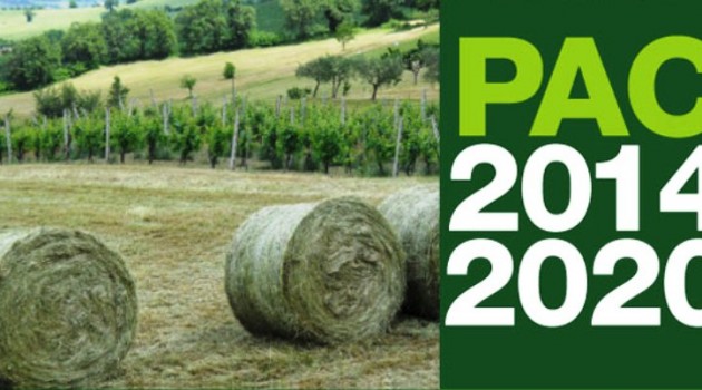 La nuova politica agricola comunitaria 2014-2020. Scenario e Prospettive