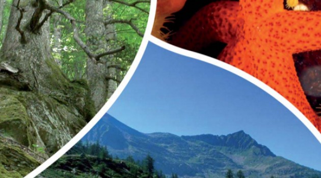 A passi di biodiversità A passi di biodiversità