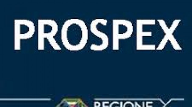 POR FESR, contributi alle PMI per Progetti Strutturati di Promozione dell’Export (PROSPEX) POR FESR, contributi alle PMI per Progetti Strutturati di Promozione dell’Export (PROSPEX)