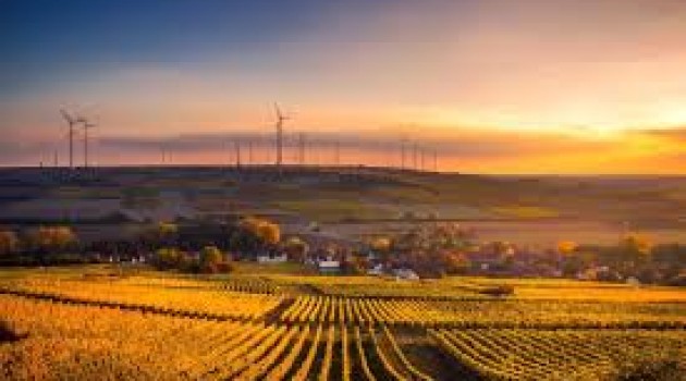 PSR Lazio: Sostegno alla produttività e sostenibilità dell’agricoltura PSR Lazio: Sostegno alla produttività e sostenibilità dell’agricoltura