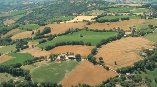 Nuove sinergie per ripartire dal territorio Nuove sinergie per ripartire dal territorio