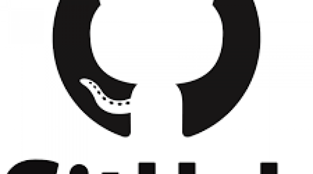 Microsoft acquista GitHub per 7,5 miliardi di dollari! Microsoft acquista GitHub per 7,5 miliardi di dollari!