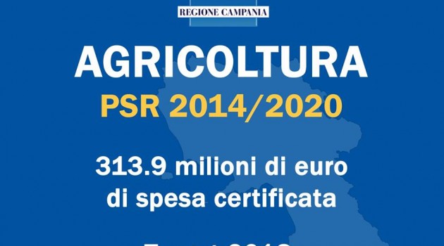 PSR Agricoltura: la Campania supera il target di spesa del 2018 PSR Agricoltura: la Campania supera il target di spesa del 2018