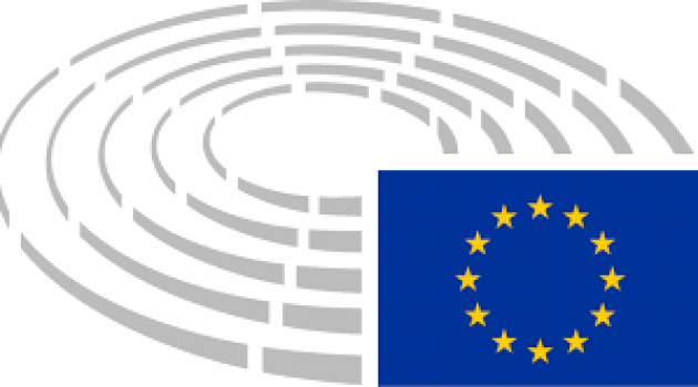 Elezioni Europee 2019…Quali Scenari? Elezioni Europee 2019…Quali Scenari?