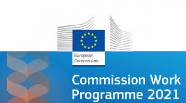 Le priorità UE 2021: la dichiarazione delle istituzioni europee Le priorità UE 2021: la dichiarazione delle istituzioni europee