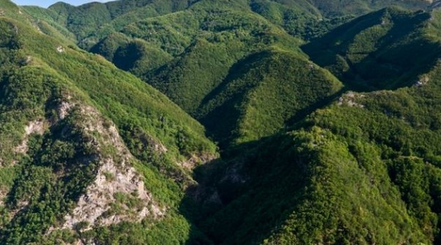 Prevenzione incendi, bando da 11,6 milioni della Regione Toscana