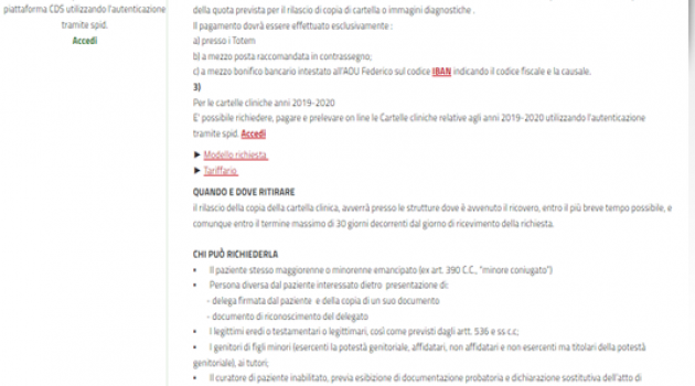 L’azienda Ospedaliera Universitaria Federico II: assenza di strategie amministrative e tecniche organizzative.