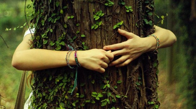 Gli alberi vivono e ci aiutano a vivere Gli alberi vivono e ci aiutano a vivere