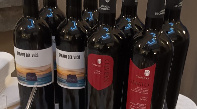 Progetto ANSENUM: il Sabato del Vico in degustazione nell’ambito del ‘Pizza a Vico’ 2022 Progetto ANSENUM: il Sabato del Vico in degustazione nell’ambito del ‘Pizza a Vico’ 2022