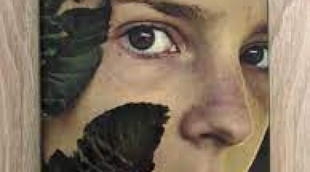 La solitudine dei numeri primi La solitudine dei numeri primi