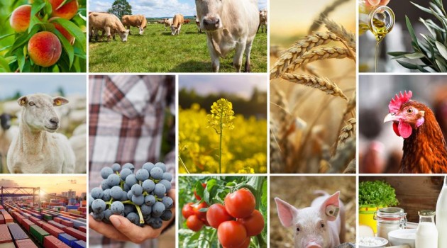 Commissione Europea: 330 milioni per gli agricoltori europei Commissione Europea: 330 milioni per gli agricoltori europei
