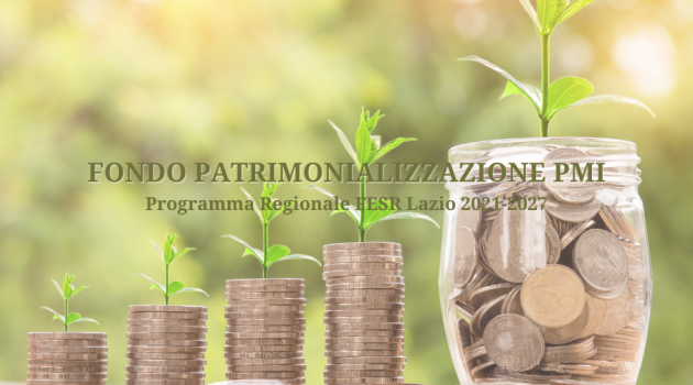 Opportunità per le piccole imprese del Lazio: il Fondo Patrimonializzazione PMI Opportunità per le piccole imprese del Lazio: il Fondo Patrimonializzazione PMI