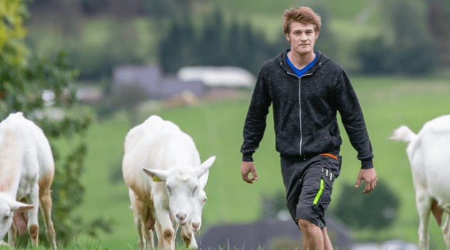 Dialogo strategico sul futuro dell’agricoltura dell’UE Dialogo strategico sul futuro dell’agricoltura dell’UE