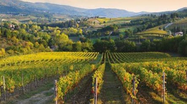 Connecting Italy: il 7 maggio un incontro dedicato alla filiera vitivinicola Connecting Italy: il 7 maggio un incontro dedicato alla filiera vitivinicola