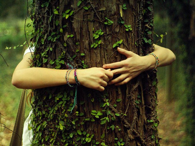 abbracciare-alberi-potere-terapeutico