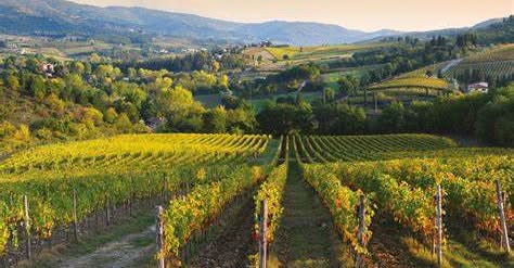 codice-italia-evento-vino-7-maggio
